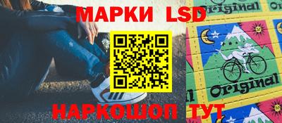 индика Кандалакша