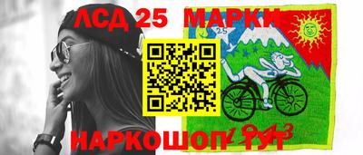 индика Кандалакша