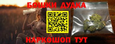 индика Кандалакша
