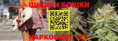 индика Кандалакша