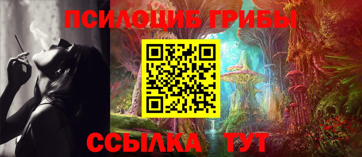 Псилоцибиновые грибы MAGIC MUSHROOMS Краснознаменск