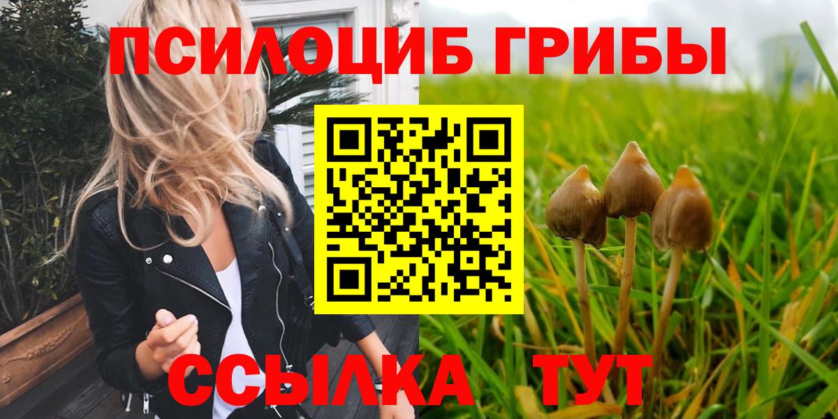 Краснознаменск  Псилоцибиновые грибы прущие грибы  Вход с VPN 